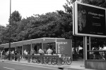 2009-08-04, Agosto, A Coruña. Jardines de Méndez Núñez, Blanco, Negro, Exposiciones