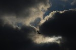 2009, Agosto, A Coruña, Nubes, Cielo, Negro, Blanco, Azul, Gaviota