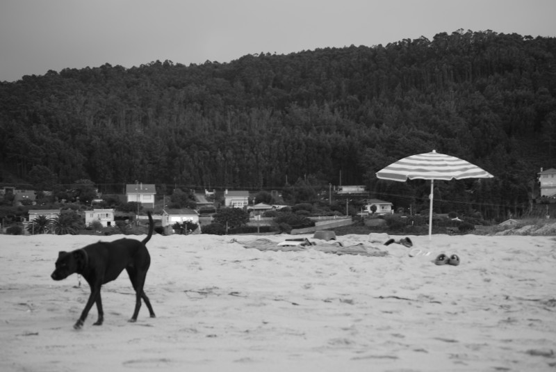 2009, Octubre,Ferrol, Praia de Doniños, Mar, Arena, Blanco, Negro, Perro, Sombrilla