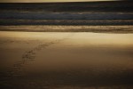 2009, Octubre, Ferrol, Praia de Doniños, Mar, Arena, Dorado, Amarillo, Playa