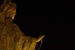 2009, Noviembre, A Coruña, Parrote, Estátua, Negro, Verde, Marrón