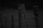 2009, Diciembre, Cantabria, Espinilla, Alto Campoo, Naturaleza, Blanco, Negro, Lata, Alambre, Valla