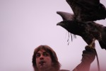 2009, Diciembre, Cantabria, Naturaleza, Parque de Cabárceno, Águila, Marrón, Gris