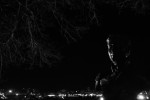 2010-02-01, Febrero, A Coruña, Jardín de San Carlos, Blanco, Negro, Busto