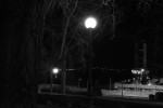 2010-02-09, Febrero, A Coruña, Ciudad Vieja, Busto, Estátua, Blanco, Negro