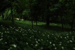 2010-10-25, Marzo, Vigo, Verde, Negro, Parque de la Marquesa, Castrelos