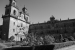 2010-07-04, Julio, Ourense, Cea, Fiesta del Pan de Cea, Monasterio Oseira, Blanco, Negro
