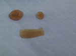 wpid-IMG_20100912_174023.jpg