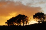 2010-10-13, Octubre, Ferrol, Covas, Naranja, Gris, Azul, Negro